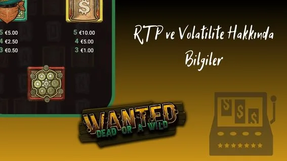 RTP ve Volatilite Hakkında Bilgiler